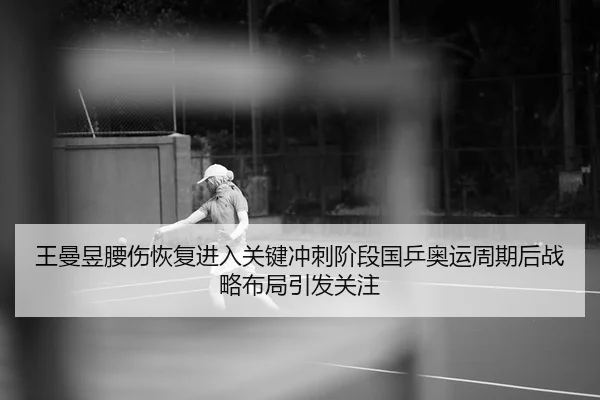 王曼昱腰伤恢复进入关键冲刺阶段国乒奥运周期后战略布局引发关注